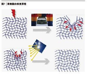 918.com(中国区)官方网站