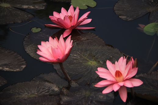 918.com(中国区)官方网站